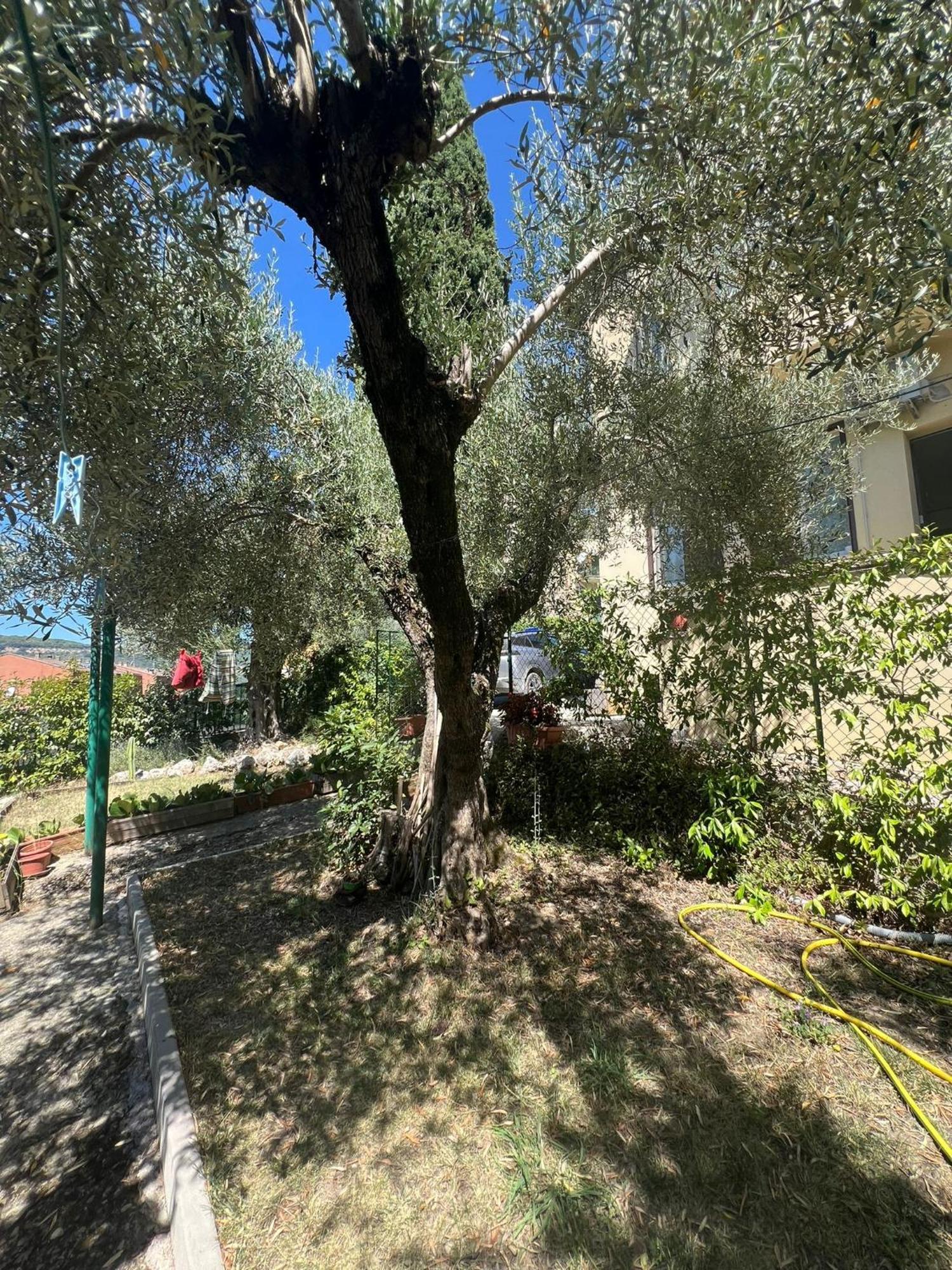La Locanda Delle Idee Santa Lucia بيرودجا المظهر الخارجي الصورة